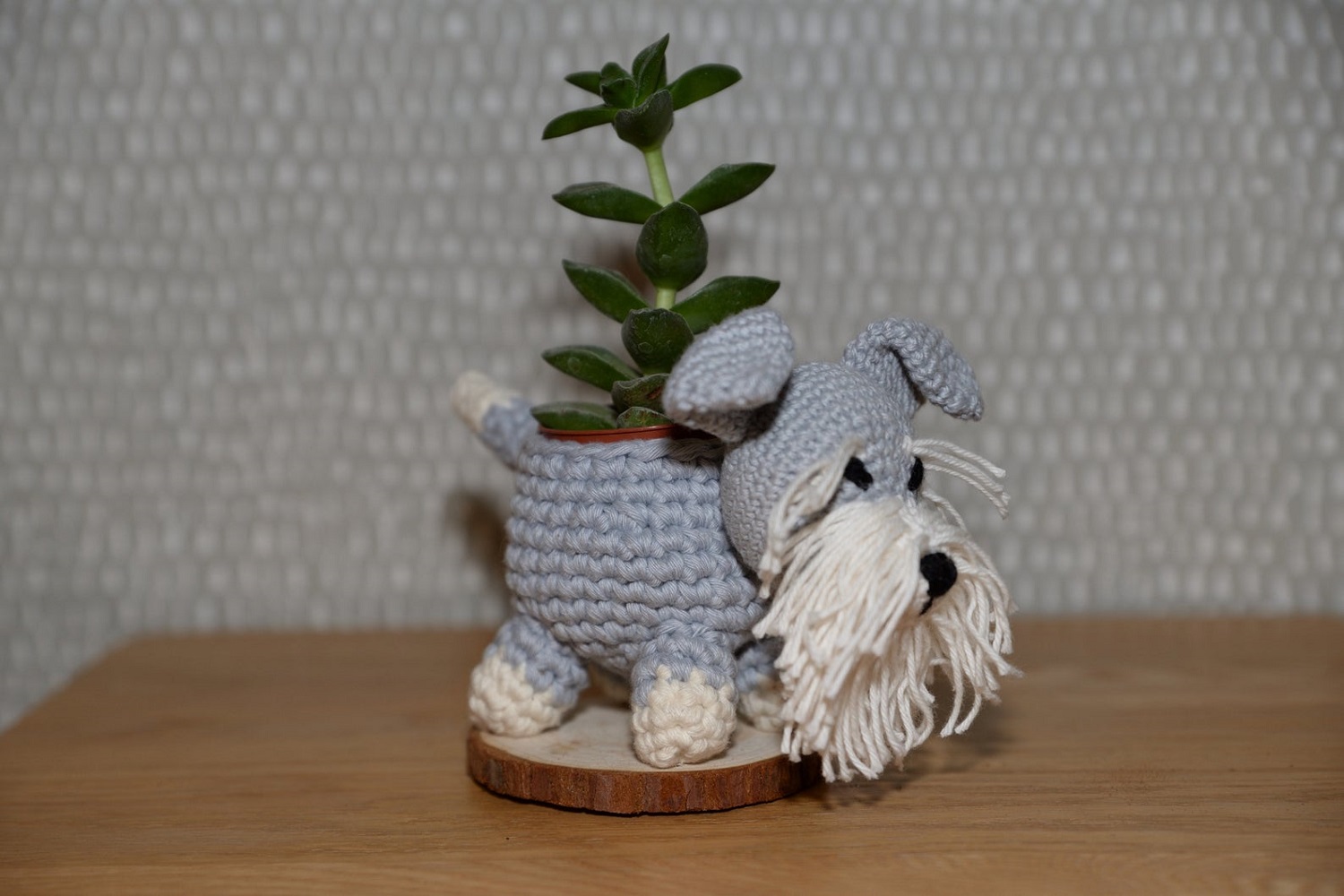 Schnauzer
