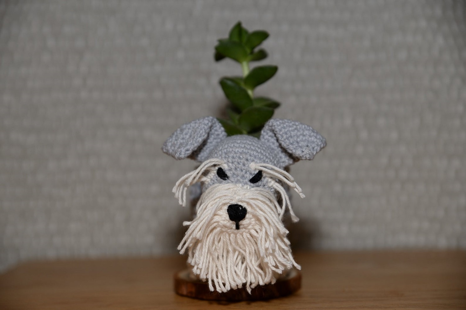 Schnauzer