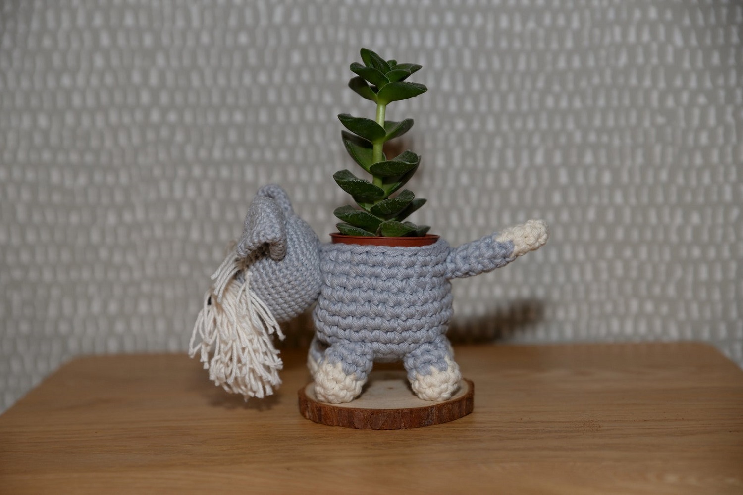 Schnauzer