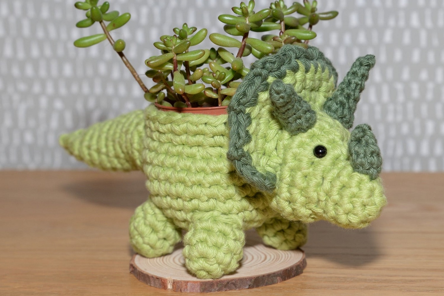 Triceratops