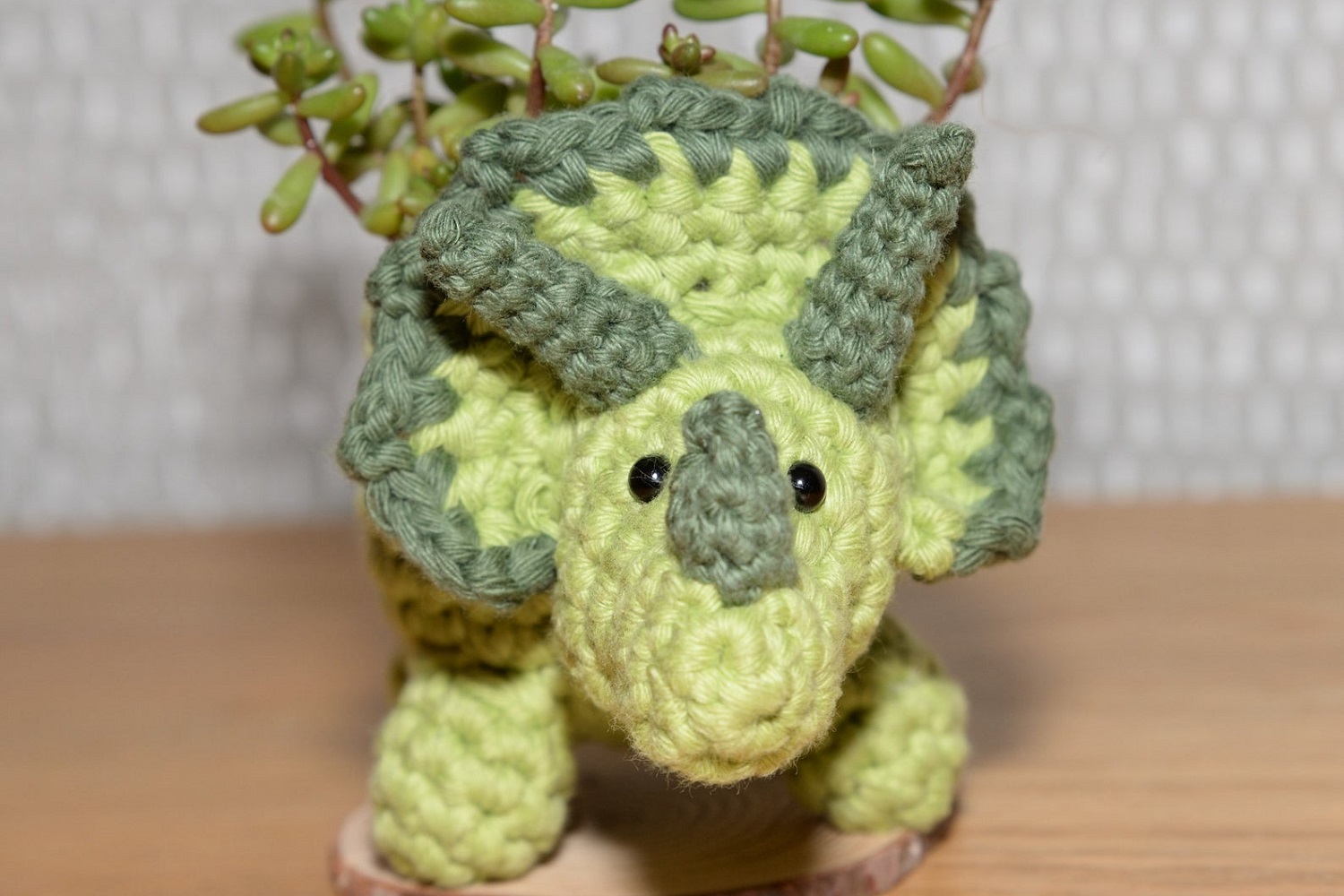 Triceratops