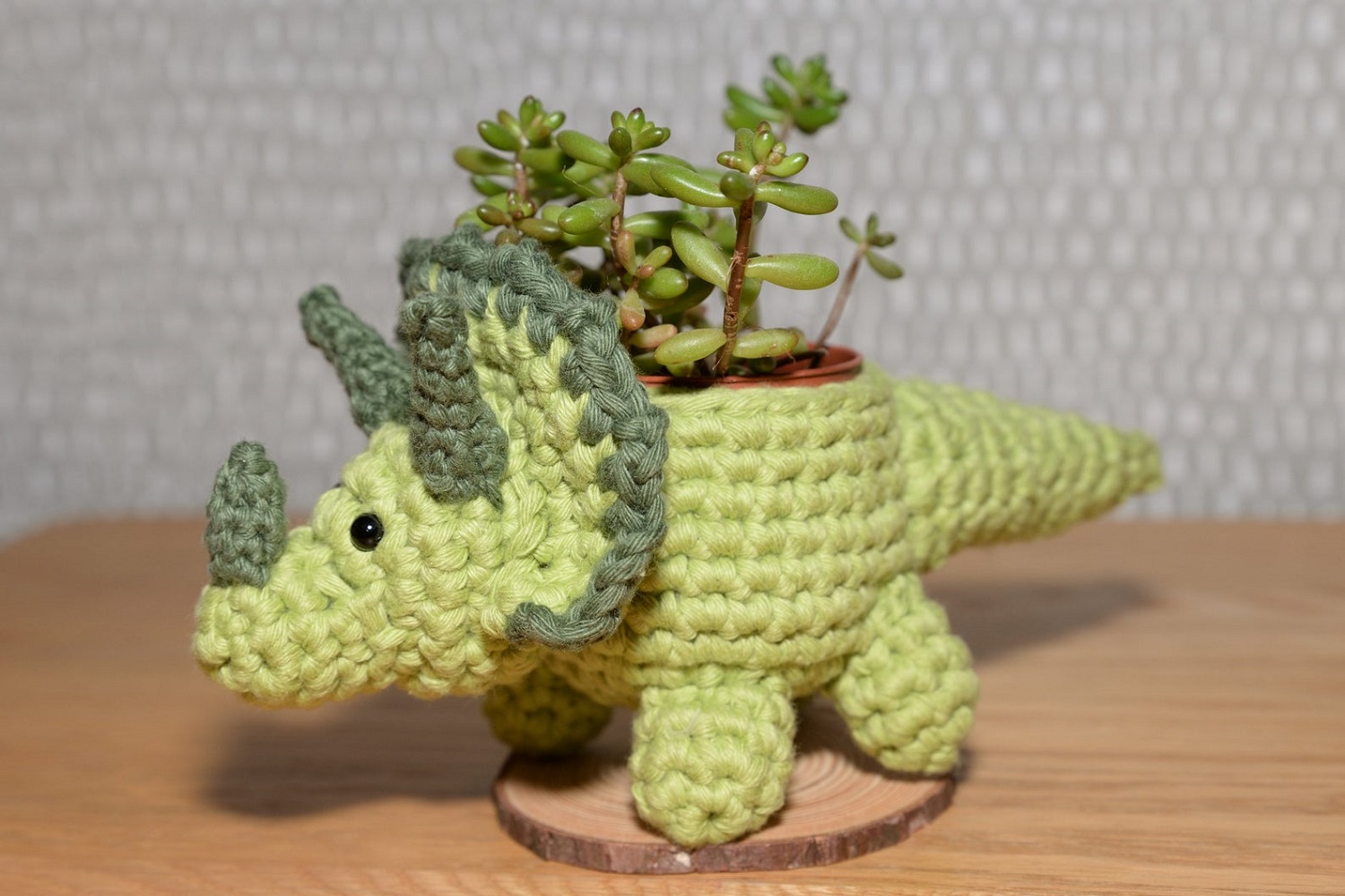 Triceratops