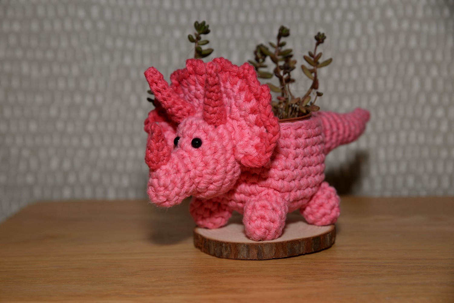 Triceratops