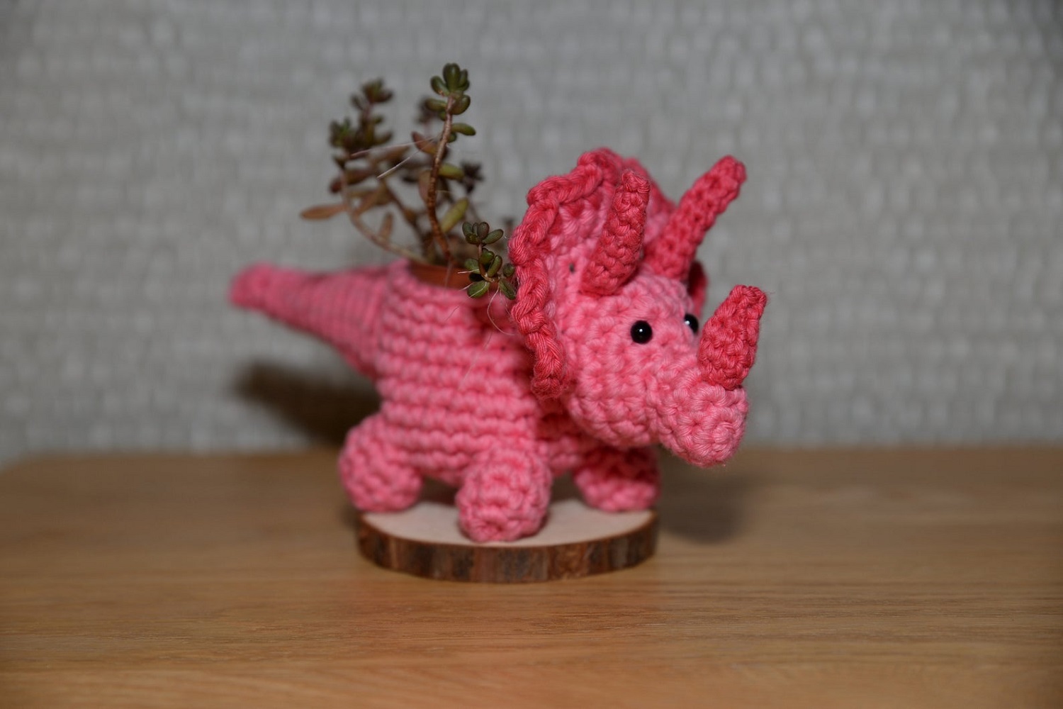 Triceratops